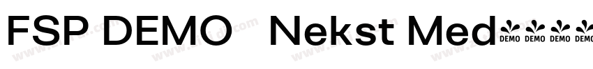 FSP DEMO   Nekst Med字体转换
